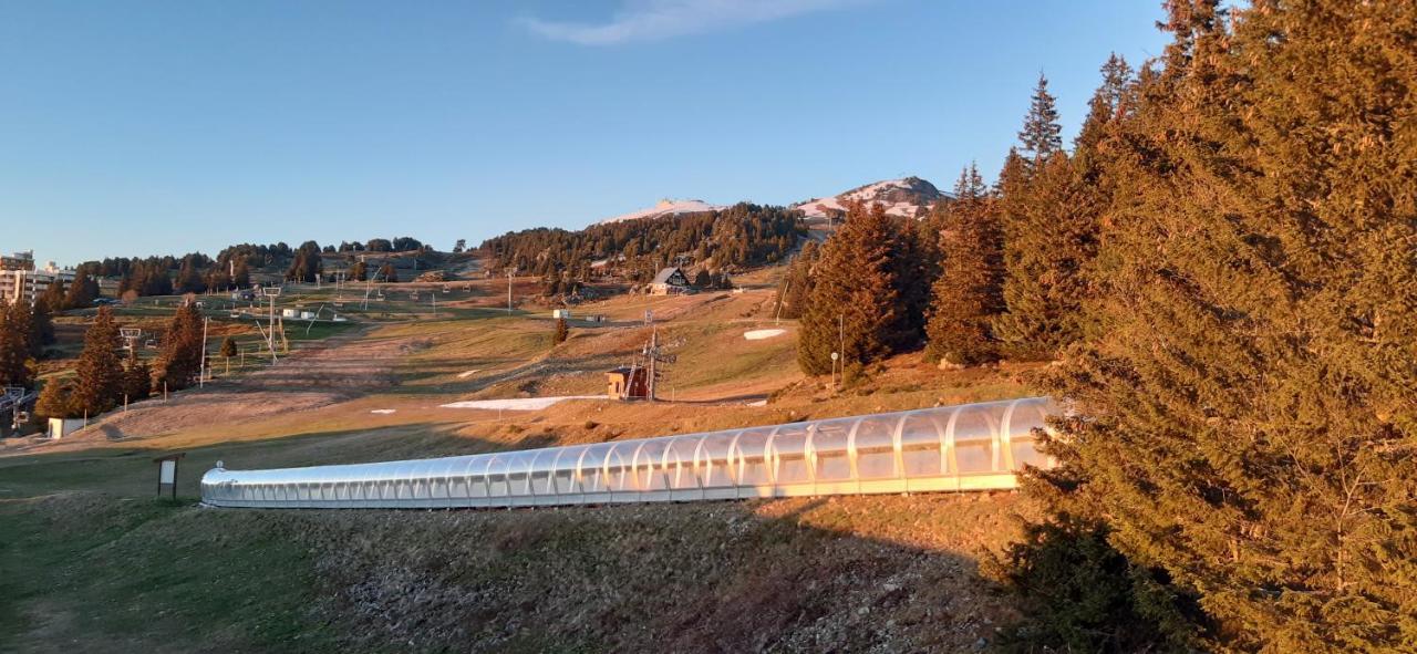 Studio Aux Pieds Des Pistes Roche Beranger Chamrousse Zewnętrze zdjęcie
