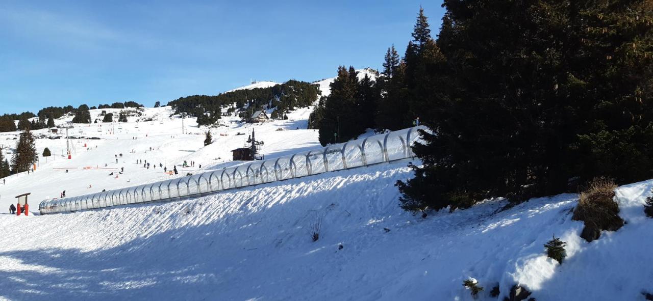 Studio Aux Pieds Des Pistes Roche Beranger Chamrousse Zewnętrze zdjęcie