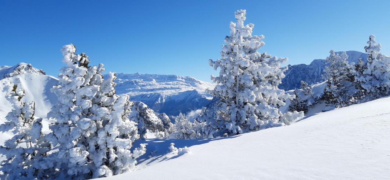 Studio Aux Pieds Des Pistes Roche Beranger Chamrousse Zewnętrze zdjęcie
